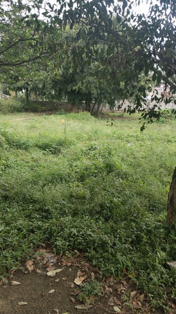 Plot Area in  Plot at JR Gardens, Chandapura – for Sale
