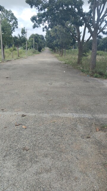 Plot Area in  Plot at JR Gardens, Chandapura – for Sale