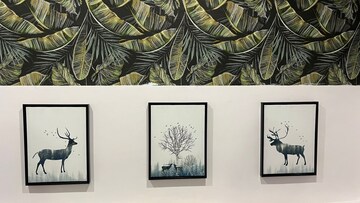 Furnished Amenities in 2 BHK Apartment at CRD Golden Castle, Patiala Road – for Rent