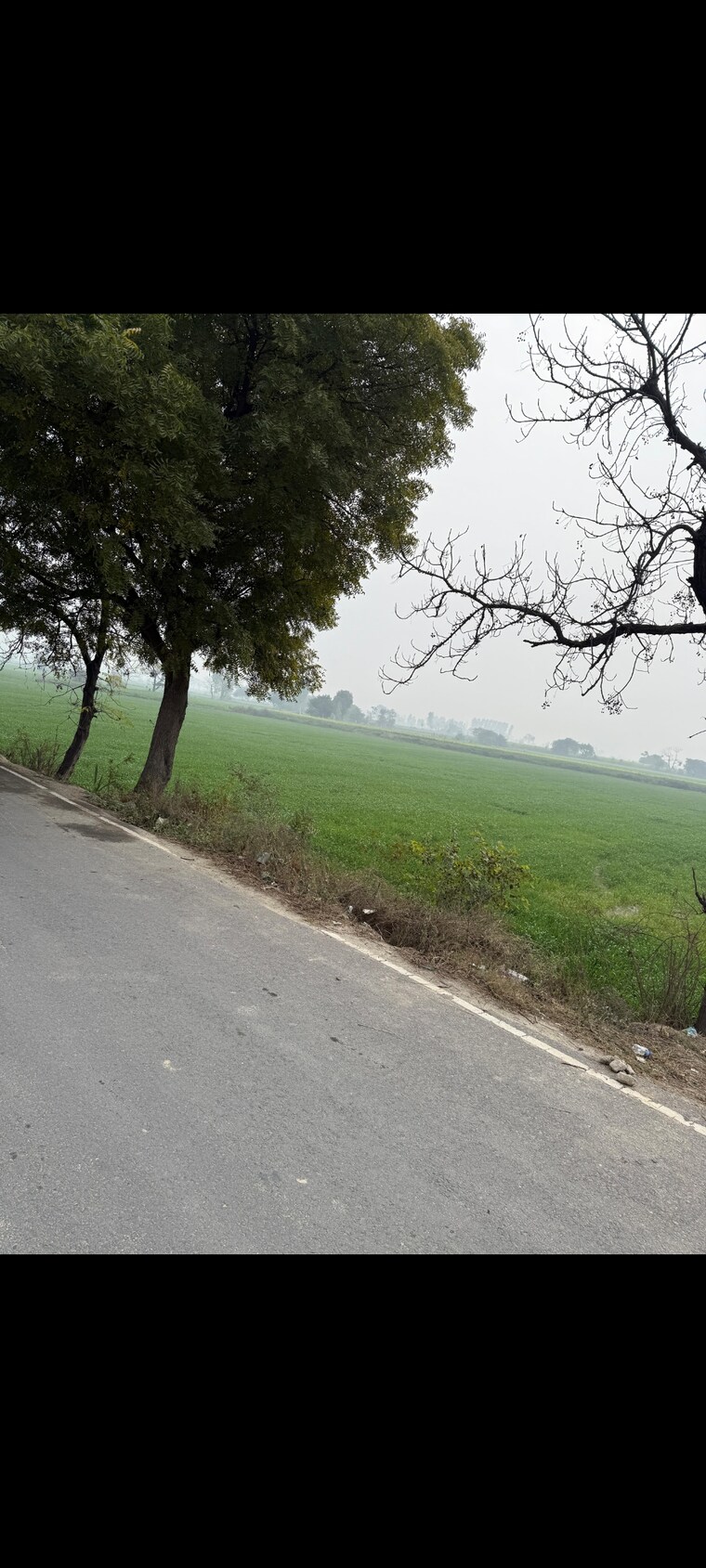 undefined, sk-the-grand-city Commercial Land 2 Acre In Jewar Greater Noida 9384293