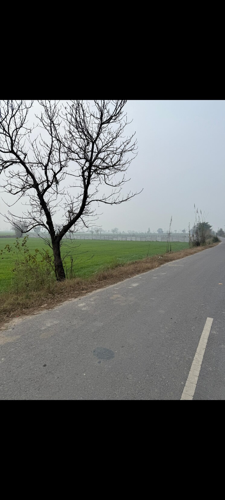 undefined, sk-the-grand-city Commercial Land 2 Acre In Jewar Greater Noida 9384293