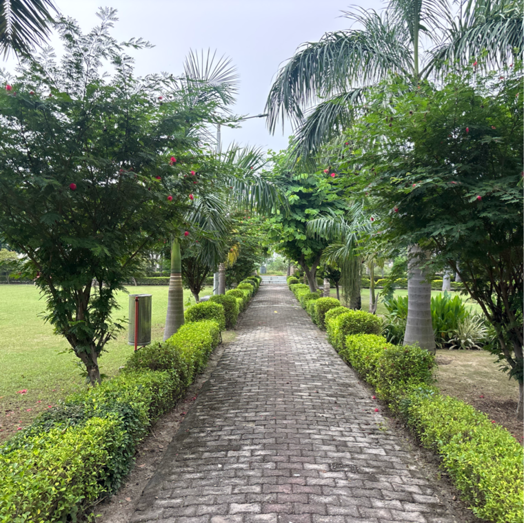Garden, zestha-bhagirath-vihar-residency  144 Sq.Yd. Plot In Murshadpur Greater Noida 9384431