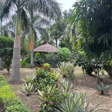  Plot – Exterior View View at Zestha Bhagirath Vihar Residency, Murshadpur - for Sale