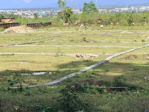 Plot Area in  Plot at Sherpur – for Sale