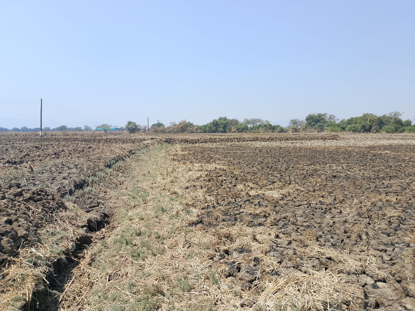 Plot For Sale in Investment Plot 