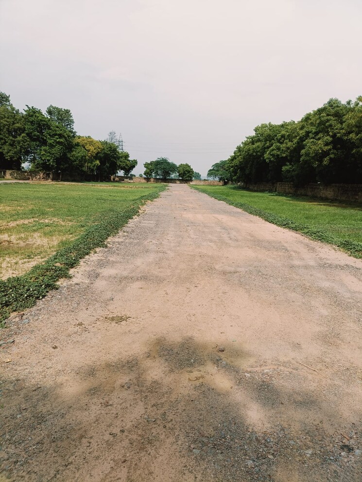 undefined, sohna road Commercial Land 1210 Sq.Yd. In Sohna Road Gurgaon 9385147