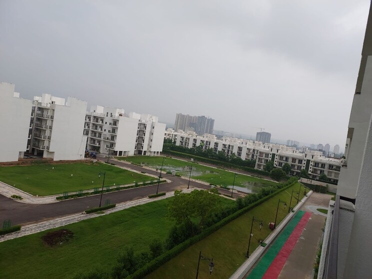 Swimming Pool, central-park-3-flower-valley 3 Bedroom 1642 Sq.Ft. Builder Floor In Sohna Sector 33 Gurgaon 9385328