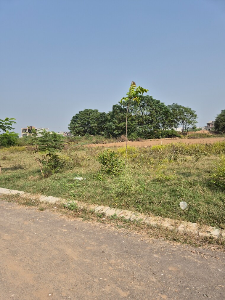 Garden, altus-prime  335 Sq.Yd. Plot In North Mullanpur Chandigarh 9385345