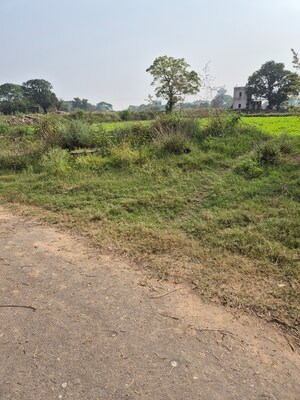  Plot – Garden View at Altus Prime, North Mullanpur - for Sale