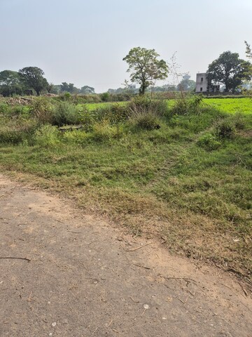  Plot – Garden View at Altus Prime, North Mullanpur - for Sale