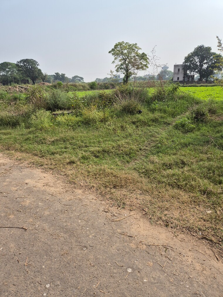 Garden, altus-prime  335 Sq.Yd. Plot In North Mullanpur Chandigarh 9385345