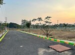 1500 Sq.Yd. Plot in Navya 