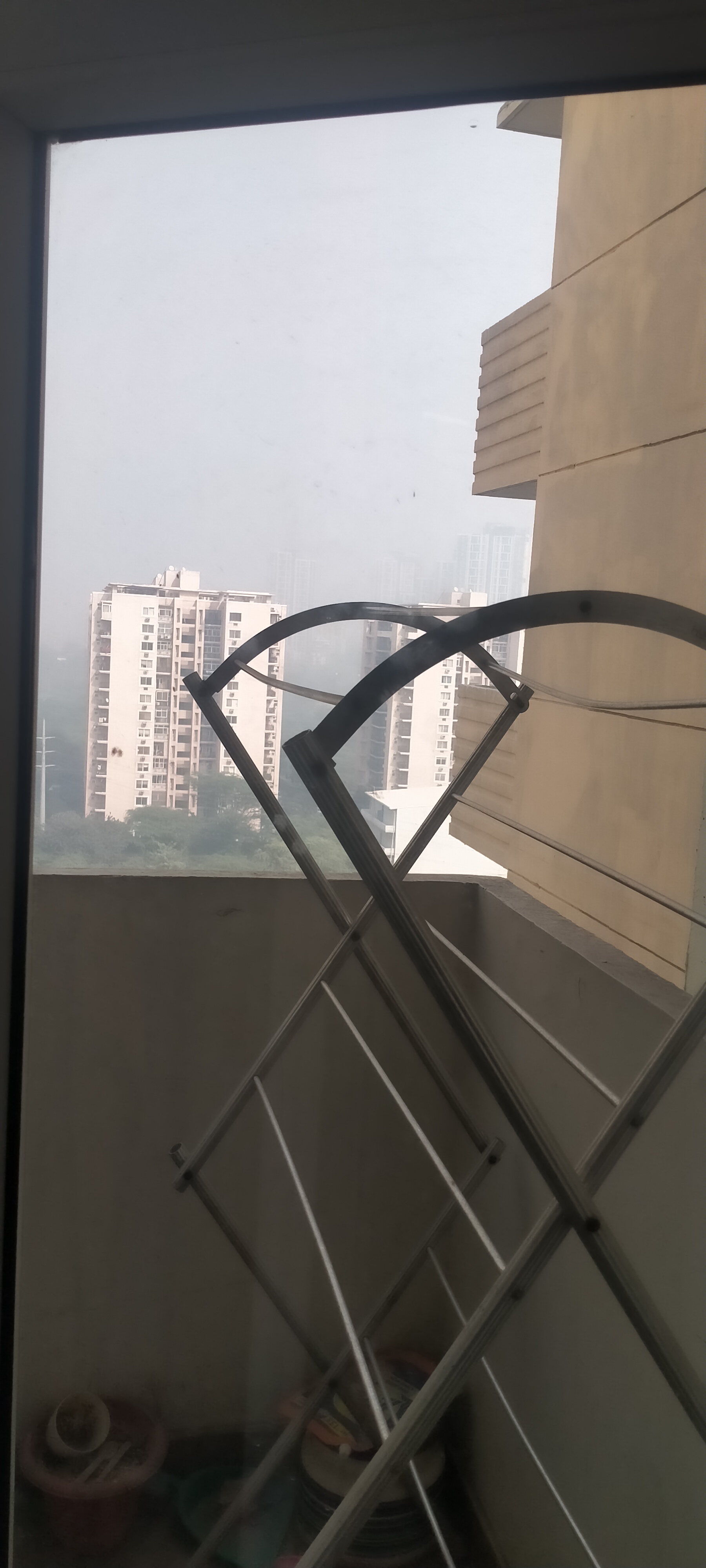 2 BHK Apartment For Rent in Tulip Lemon