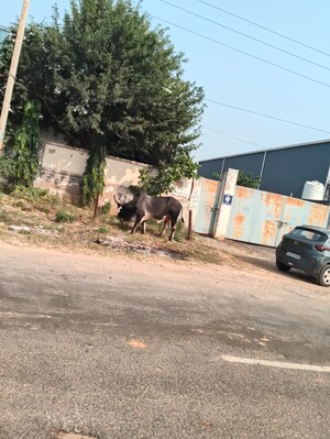  Industrial Plot For Sale in Ghilot