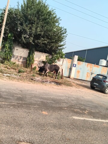  Industrial Plot For Sale in Ghilot