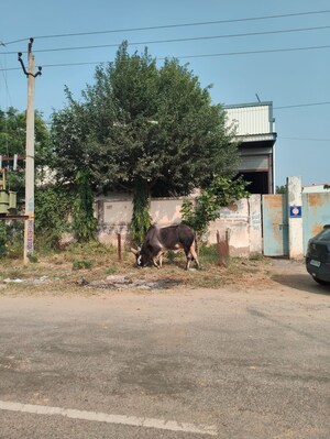  Industrial Plot – Exterior View View at Ghilot - for Sale