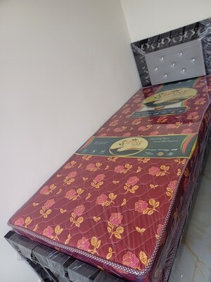  Pg For Rent in Ghansoli