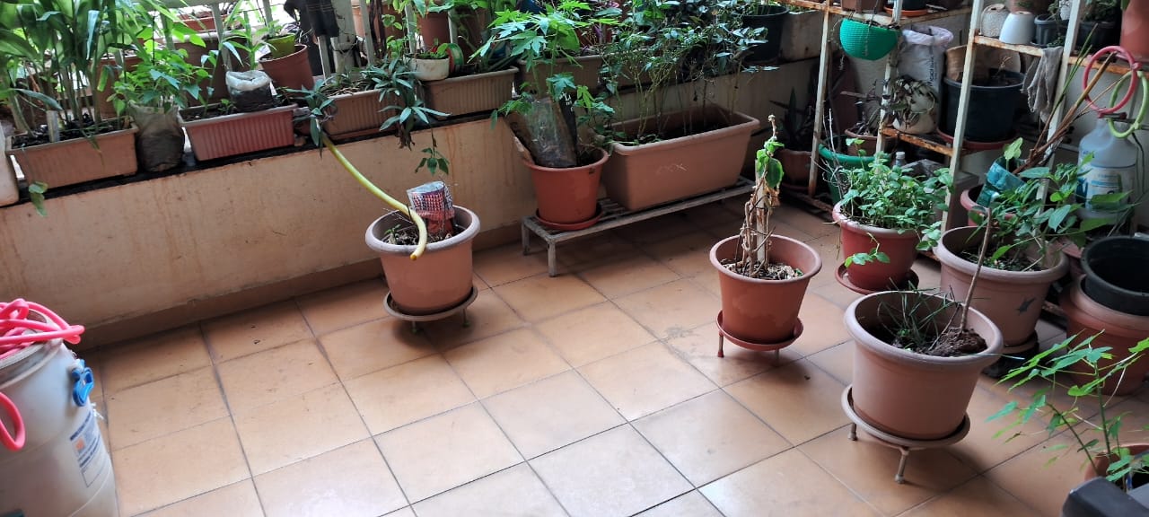 3 BHK + Extra Room Apartment For Sale in Bhansali Ruturang Apartment