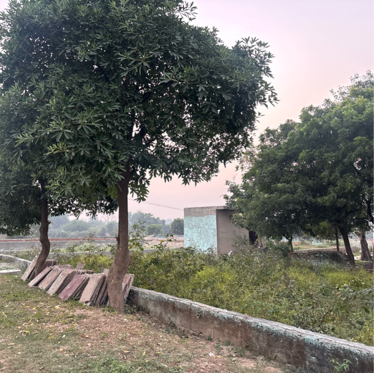 undefined, dankaur  100 Sq.Yd. Plot In Dankaur Greater Noida 9386596