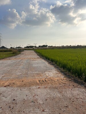 Plot Area in  Plot at A-Zone – for Sale