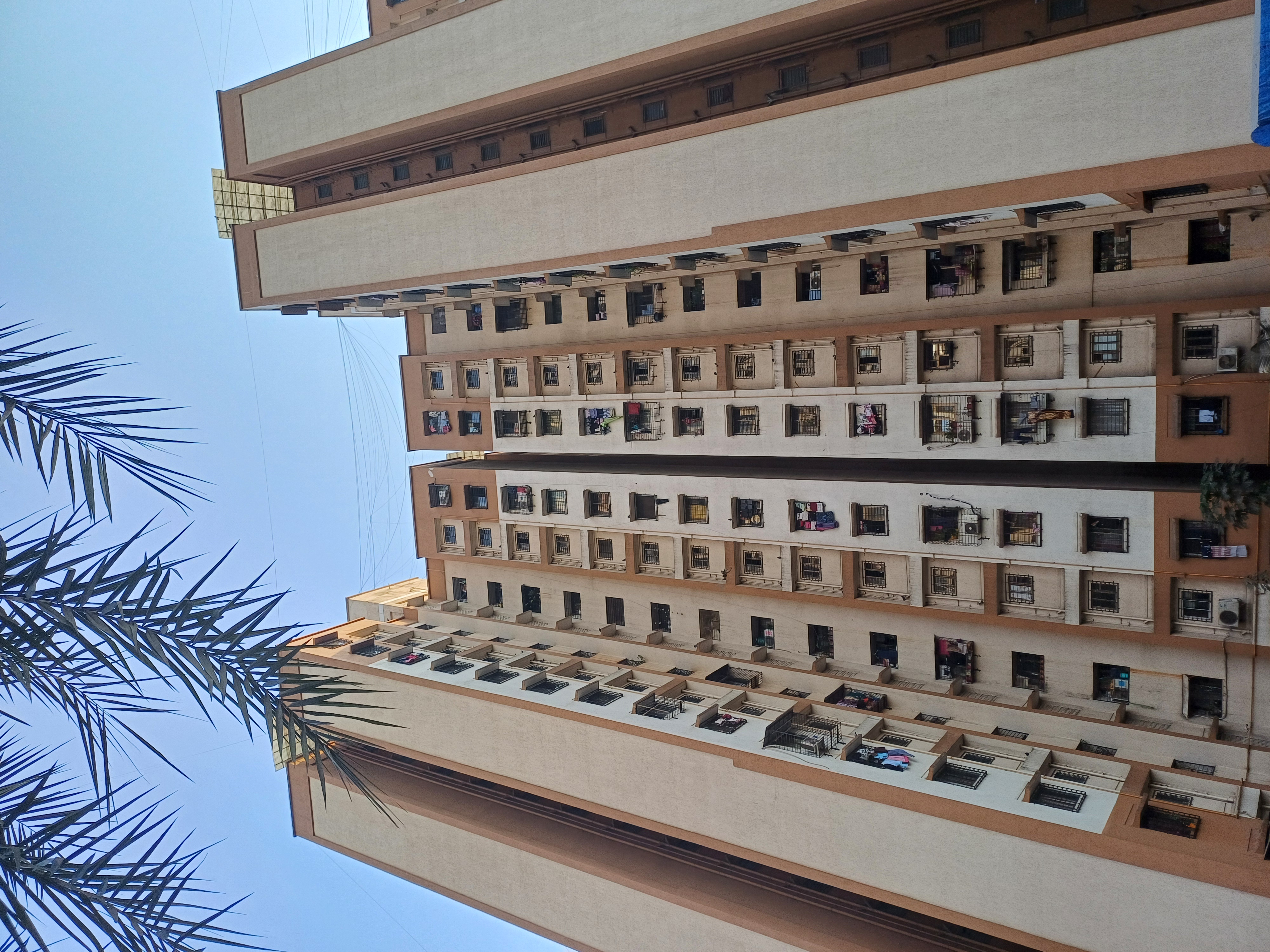 1 BHK Apartment For Rent in Megh Malhar Co-op Housing Society