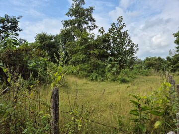 Plot Area in  Plot at Shahapur – for Sale