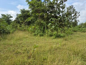  Plot – Exterior View View at Shahapur - for Sale