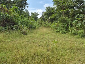  Plot For Sale in Shahapur