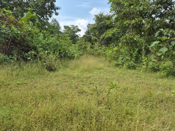  Plot For Sale in Shahapur