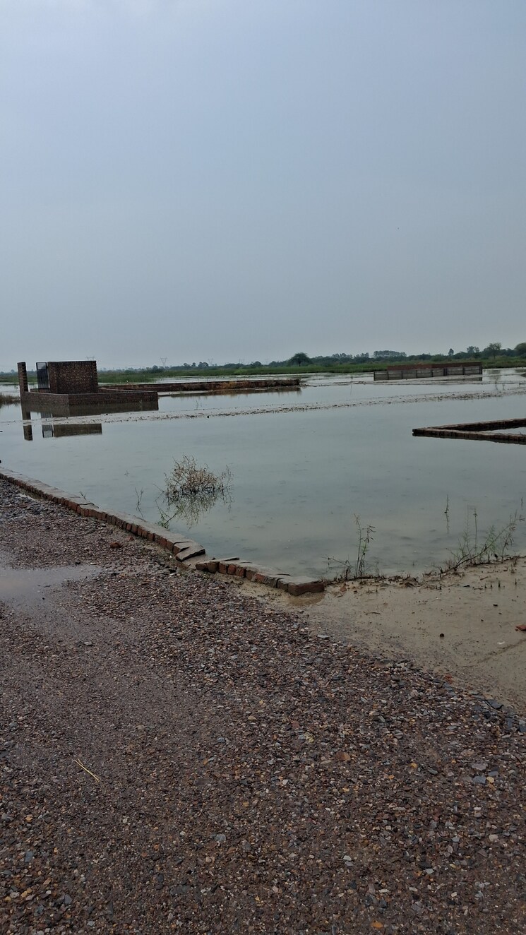 Exterior View, silani chowk  500 Sq.Yd. Plot In Silani Chowk Gurgaon 9387169