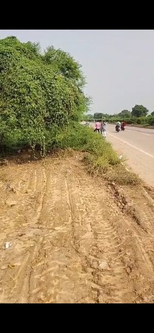  Plot For Sale in Kailashpuri Colony