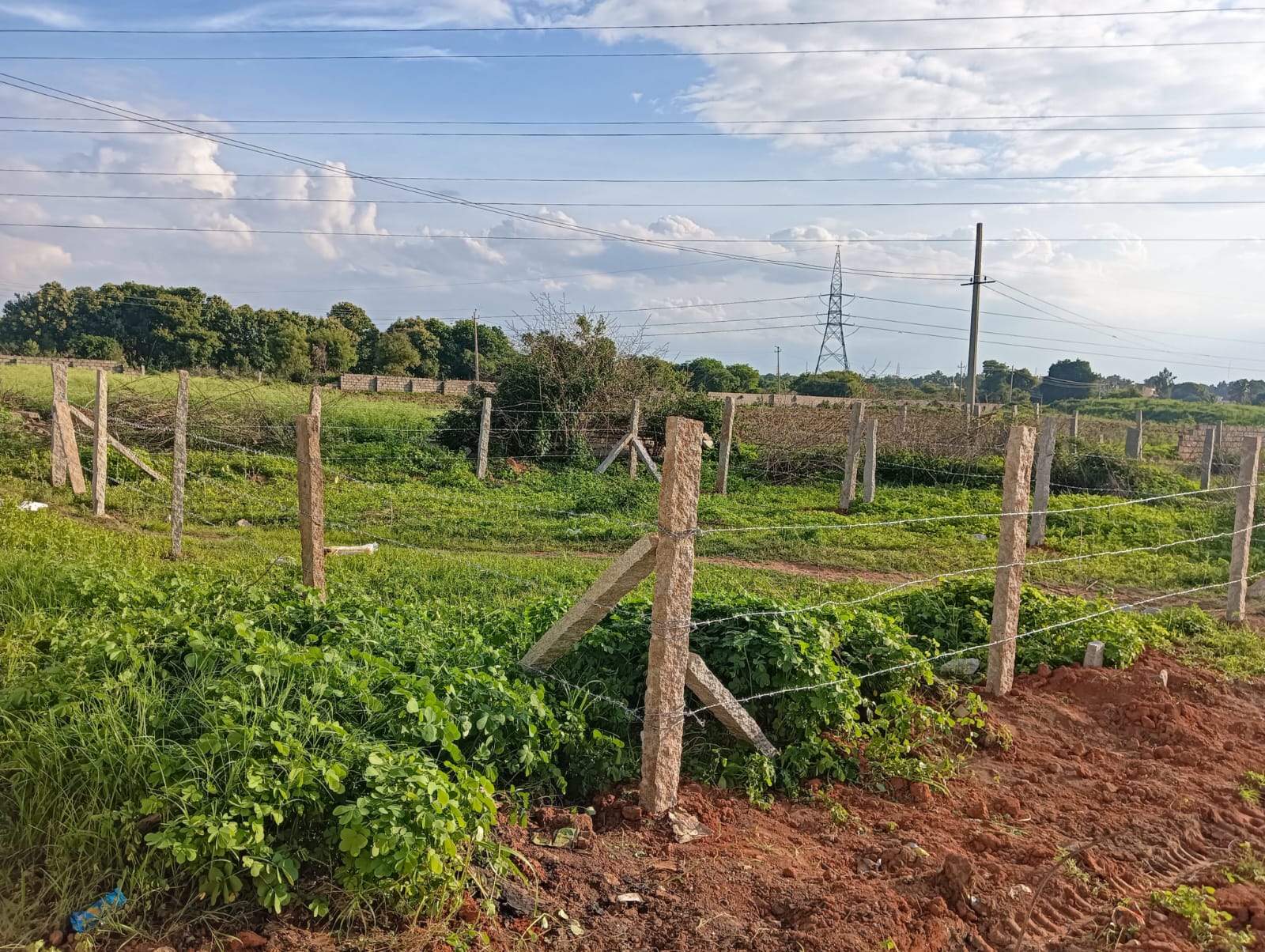 Plot For Sale in Bagaluru