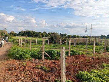 Plot Area in  Plot at Bagaluru – for Sale