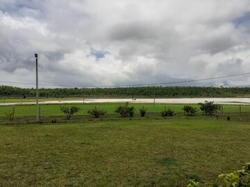 Plot Area in  Plot at Silani Chowk – for Sale