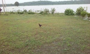 Plot Area in  Plot at Silani Chowk – for Sale