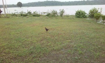 Plot Area in  Plot at Silani Chowk – for Sale