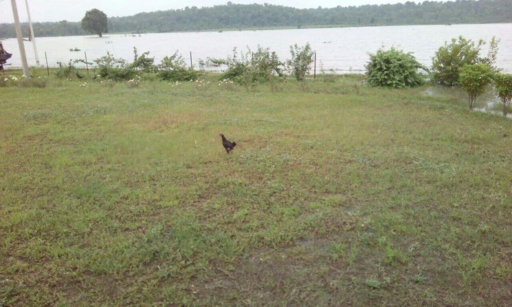 undefined, silani chowk  400 Sq.Yd. Plot In Silani Chowk Gurgaon 9387350