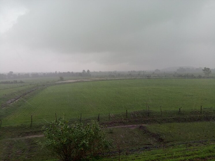 undefined, silani chowk  400 Sq.Yd. Plot In Silani Chowk Gurgaon 9387350