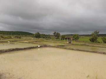 Plot Area in  Plot at Silani Chowk – for Sale