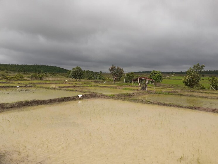 undefined, silani chowk  400 Sq.Yd. Plot In Silani Chowk Gurgaon 9387350