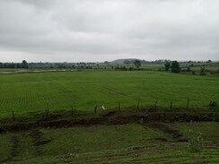Plot For Sale in Silani Chowk