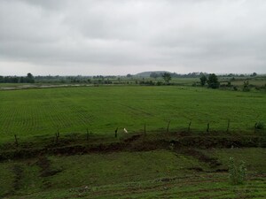  Plot For Sale in Silani Chowk