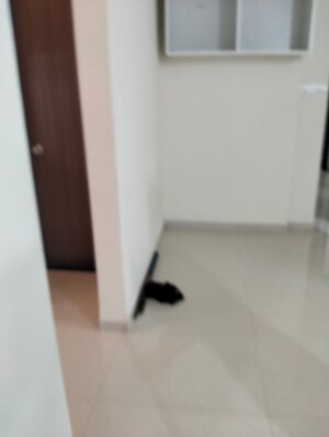 Room in 2 BHK Apartment at Urban Skyline Phase 1, Ravet – for Rent