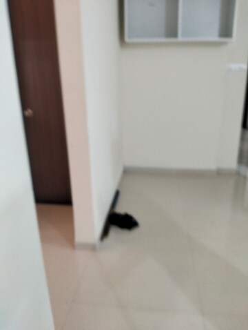 Room in 2 BHK Apartment at Urban Skyline Phase 1, Ravet – for Rent