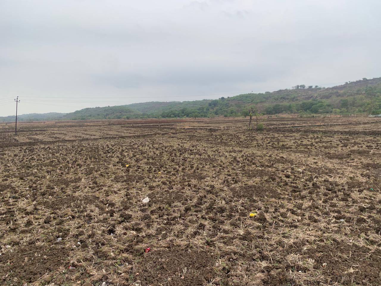 Plot For Sale in Investment Plot 