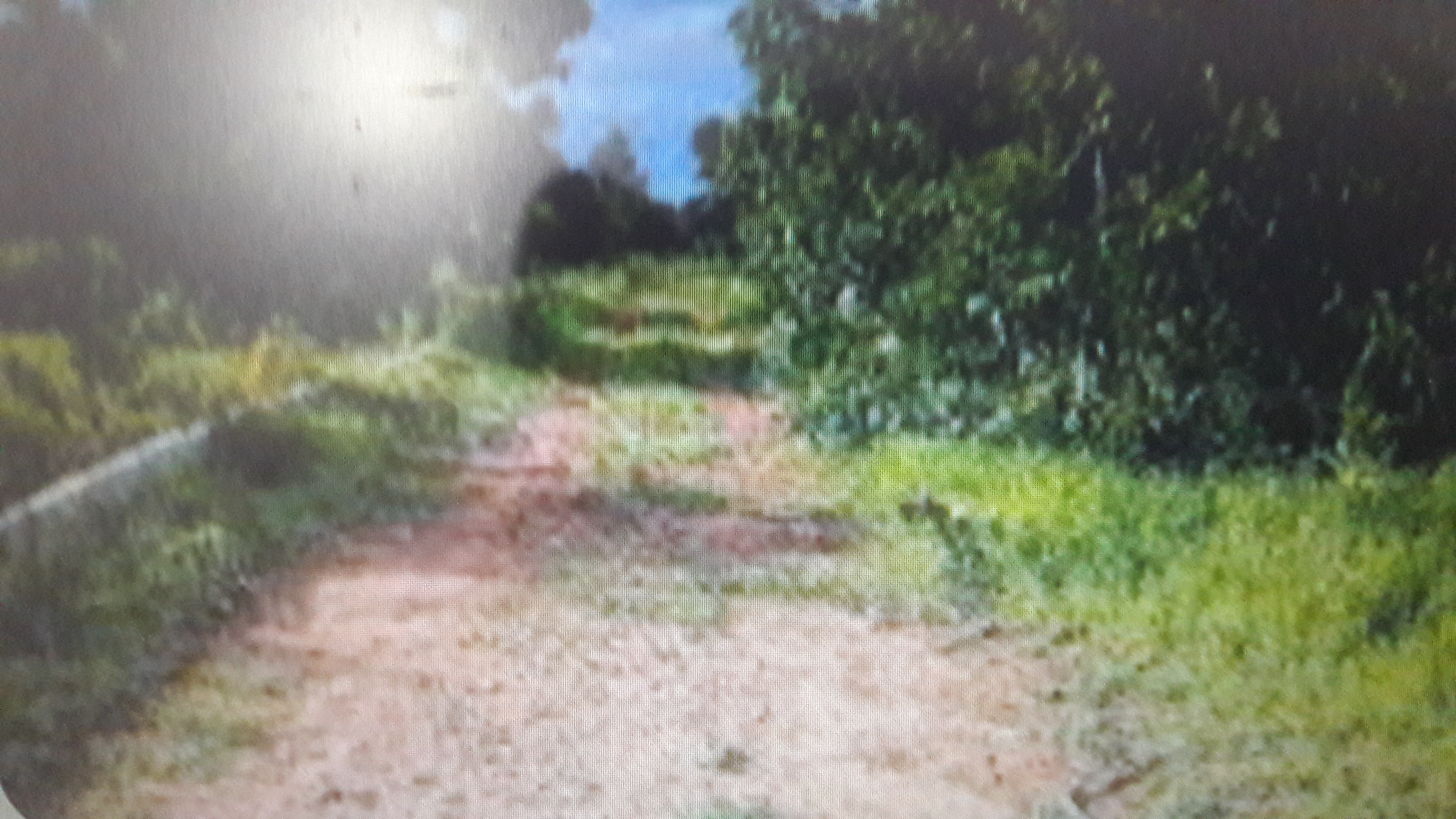 Plot For Sale in Cross Realtors