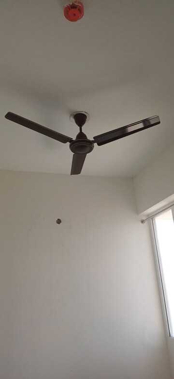 2.5 BHK Apartment For Rent in Signature Global Golf Greens, Sector 79