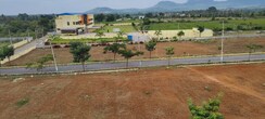 Plot For Sale in Sachin  Smart Investment 