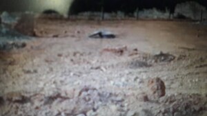  Plot For Sale in Msr Nagar