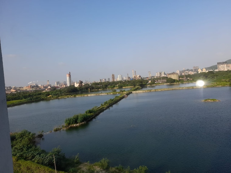 Swimming Pool, ajmera-bhakti-park 1 Bedroom 546 Sq.Ft. Apartment In Bhakti Park Mumbai 9387888